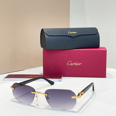 Cartier Sunglasses — 4
