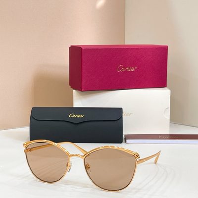 Cartier Sunglasses — 3