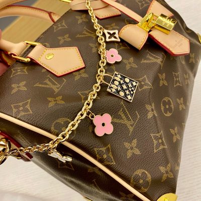 Louis Vuitton Bag — 5