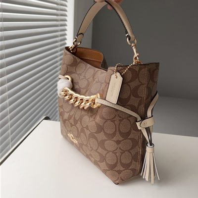Coach Bag — 4