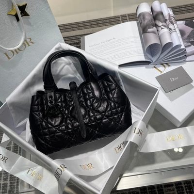 Dior Bag — 4