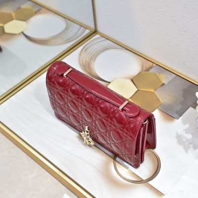 Dior Bag — 9
