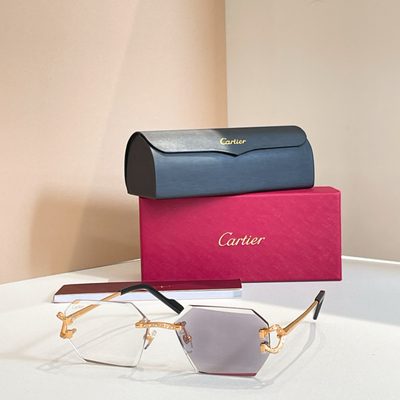 Cartier Sunglasses — 7