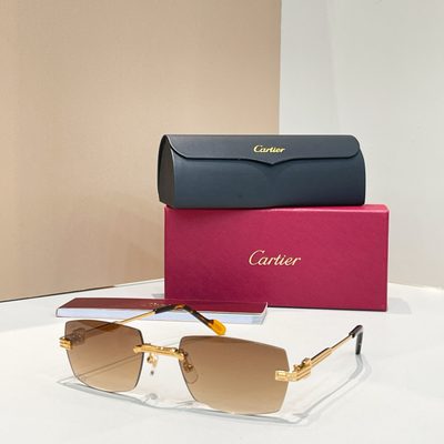 Cartier Sunglasses — 8