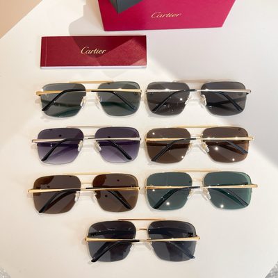 Cartier Sunglasses — 9