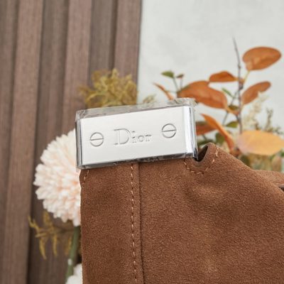 Dior Bag — 5