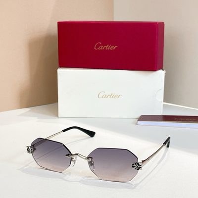 Cartier Sunglasses — 4