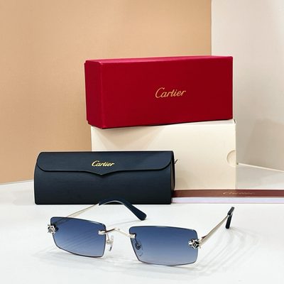 Cartier Sunglasses — 8
