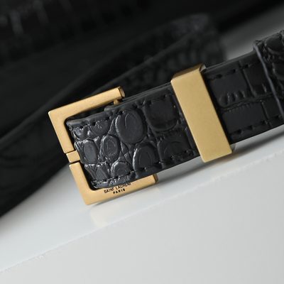 YSL Bag — 9
