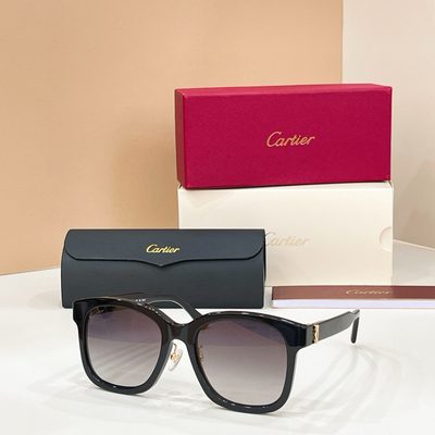 Cartier Sunglasses — 3