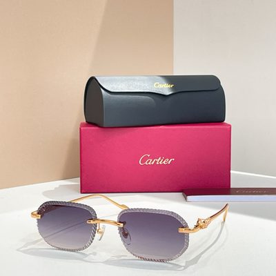 Cartier Sunglasses — 5