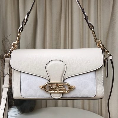 Coach Bag — 17