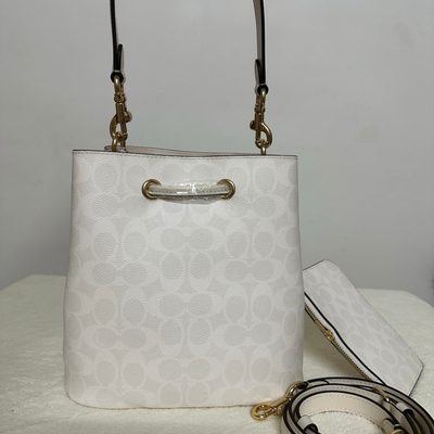 Coach Bag — 3