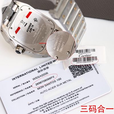 Cartier Watch — 7
