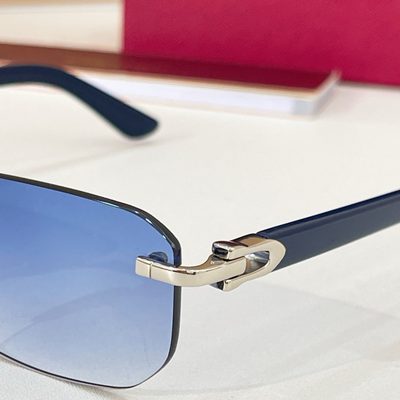 Cartier Sunglasses — 7