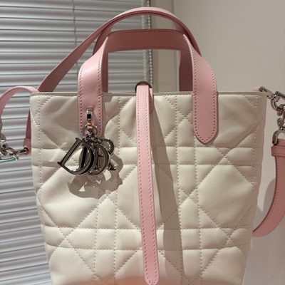Dior Bag — 8