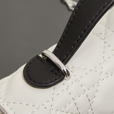 Dior Bag — 7