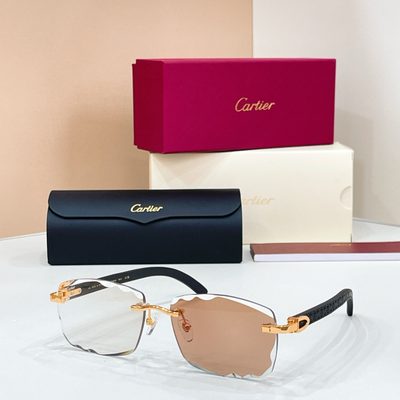Cartier sunglasses — 3