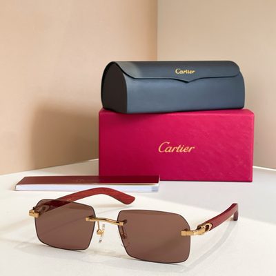 Cartier Sunglasses — 4