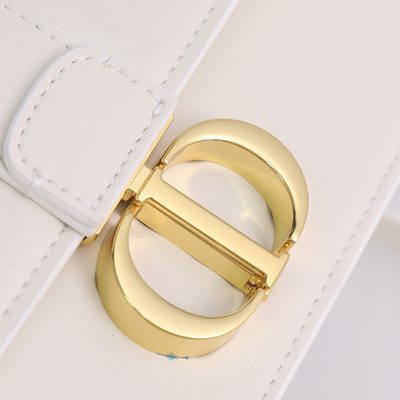 Dior Bag — 4