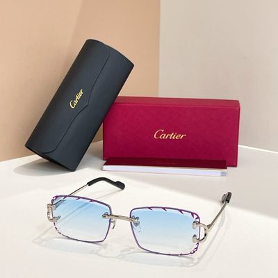 Cartier Sunglasses — 5