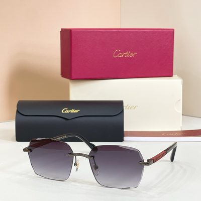 Cartier sunglasses — 6