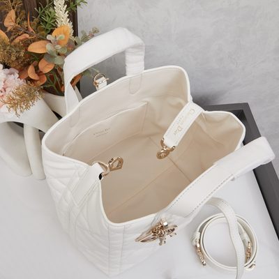 Dior Bag — 10
