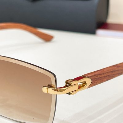 Cartier Sunglasses — 7