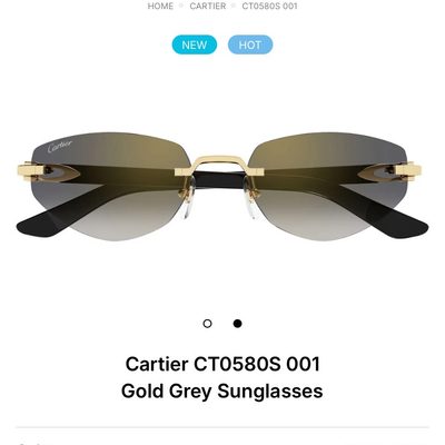 Cartier Sunglasses — 4