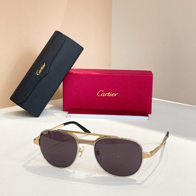 Cartier Sunglasses — 8