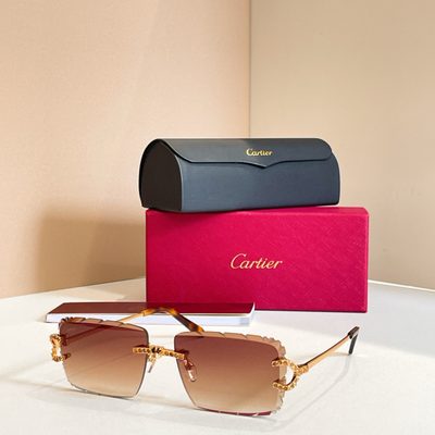 Cartier Sunglasses — 6