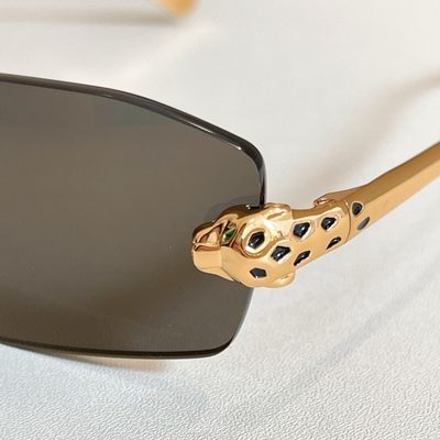 Cartier Sunglasses — 5