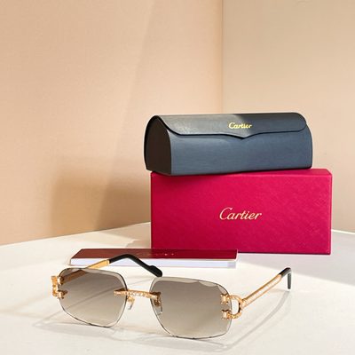 Cartier Sunglasses — 3