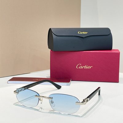 Cartier Sunglasses — 4