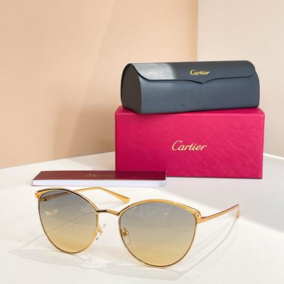 Cartier Sunglasses — 3
