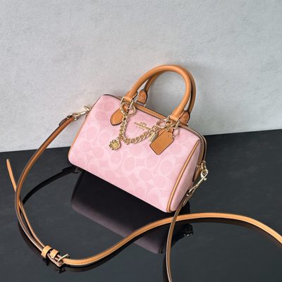 Coach Bag — 3