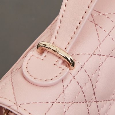 Dior Bag — 7
