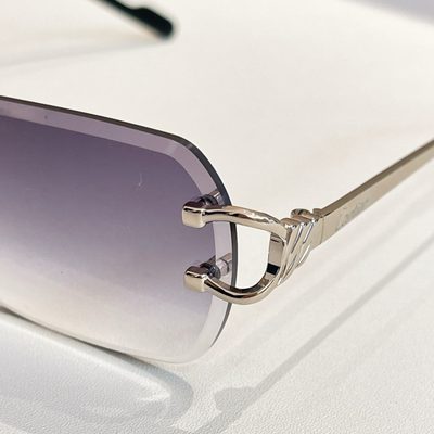 Cartier Sunglasses — 9