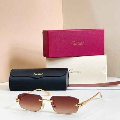 Cartier Sunglasses — 9