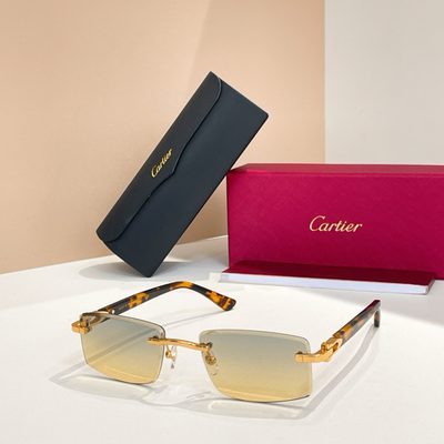 Cartier Sunglasses — 7