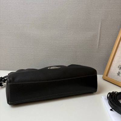 Coach Bag — 6