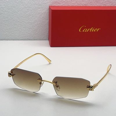 Cartier Sunglasses — 6
