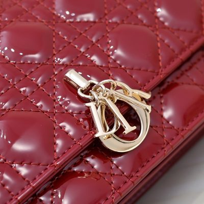 Dior Bag — 8