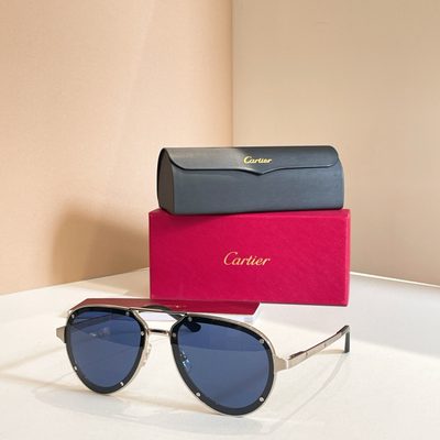 Cartier Sunglasses — 6