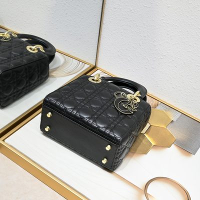 Dior Bag — 6