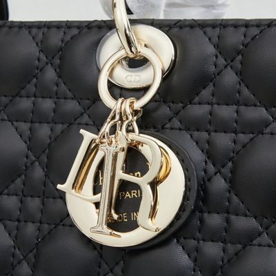 Dior Bag — 5