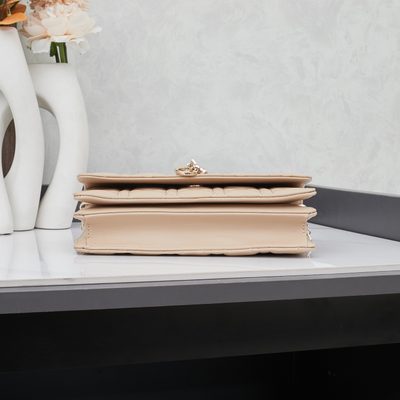 Dior Bag — 4