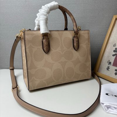 Coach Bag — 4