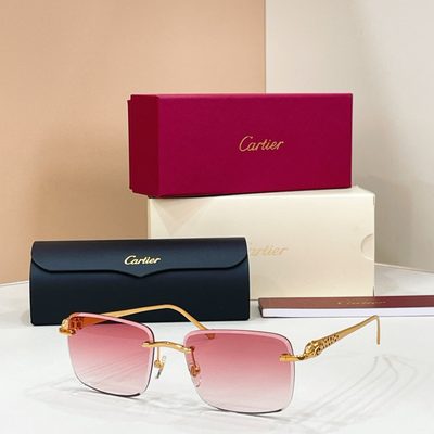Cartier sunglasses — 6