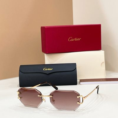 Cartier Sunglasses — 3